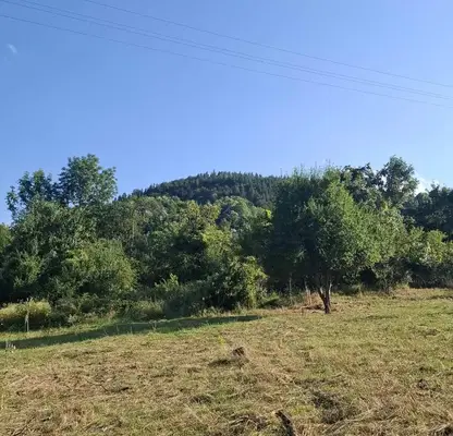 Photo 2 — Plot in Lovech, Velchevo
