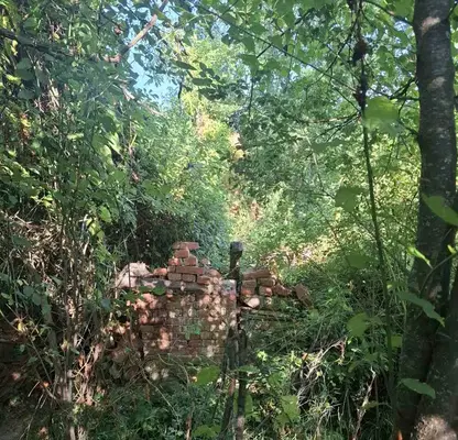 Photo 4 — Plot in Lovech, Velchevo