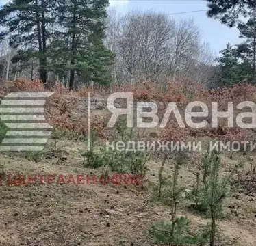Photo 5 — Plot in Vladaya