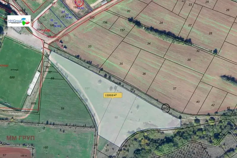 Plot in Voinegovci