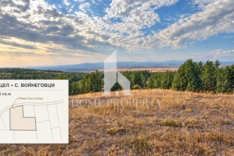 Plot in Voinegovci