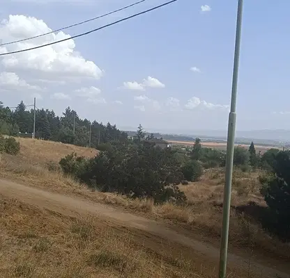 Photo 5 — Plot in Voinegovci