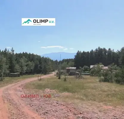 Photo 3 — Plot in Voinegovci