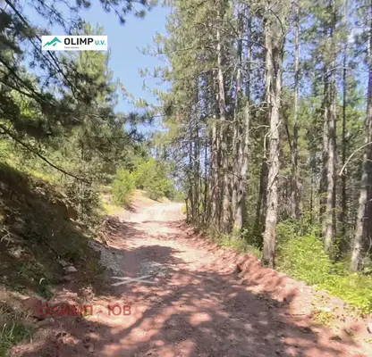 Photo 4 — Plot in Voinegovci