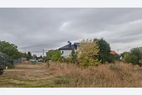 Plot in Voinegovci