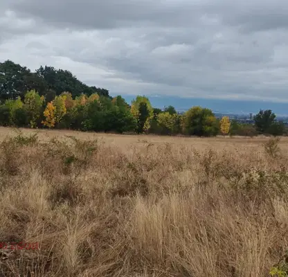 Photo 2 — Plot in Voinegovci
