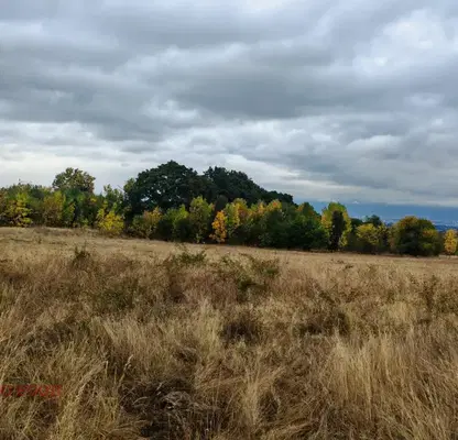 Photo 4 — Plot in Voinegovci