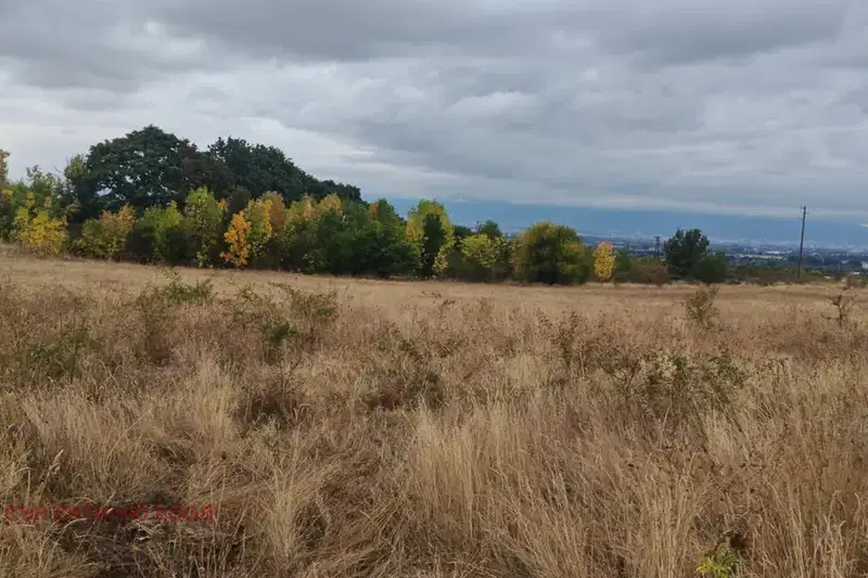 Plot in Voinegovci