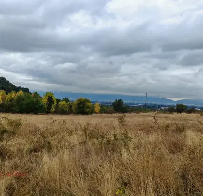 Photo 2 — Plot in Voinegovci