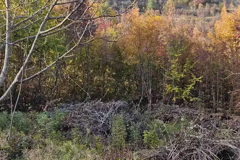 Plot in Veliko Tyrnovo, Yalovo
