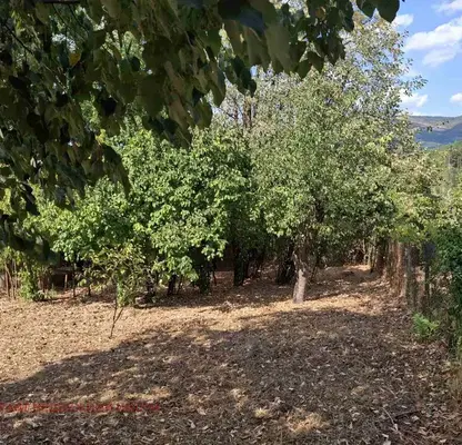 Photo 2 — Plot in Gabrovo, Yankovci