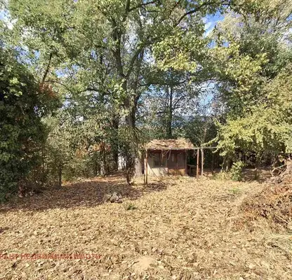 Photo 3 — Plot in Gabrovo, Yankovci