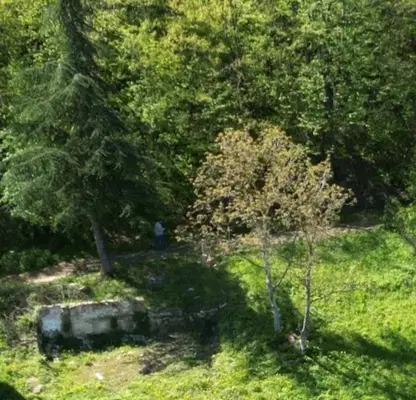 Photo 2 — Plot in Gabrovo, Yankovci