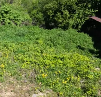 Photo 3 — Plot in Gabrovo, Yankovci