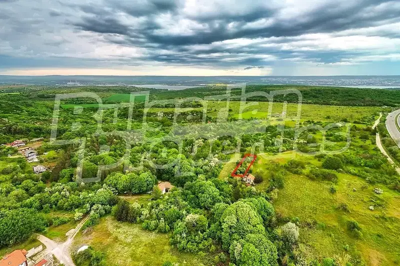 Plot in Zvezdica