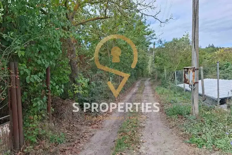 Plot in Zvezdica