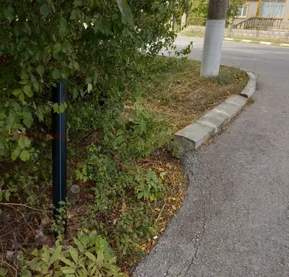 Photo 3 — Plot in Dobrich, Shabla