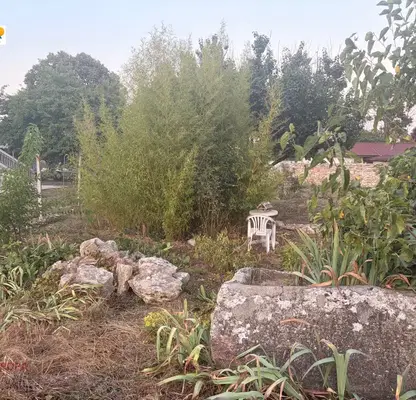 Photo 3 — Plot in Dobrich, Shabla
