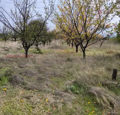 Photo 3 — Plot in Shumen, Divdyadovo