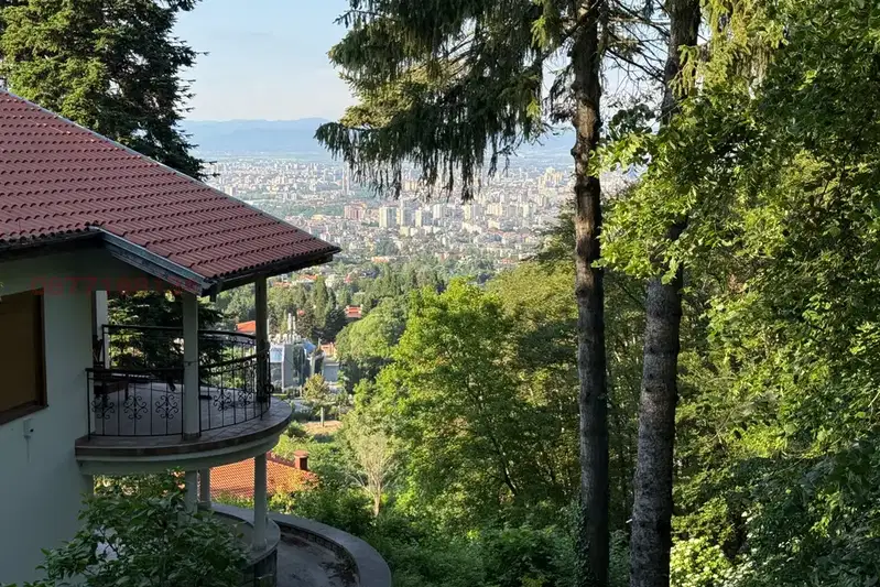 Plot in Sofia, Boyana