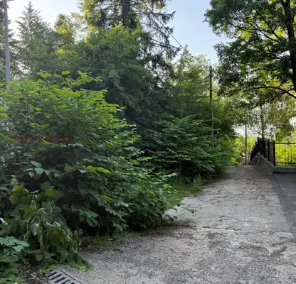 Photo 3 — Plot in Sofia, Boyana