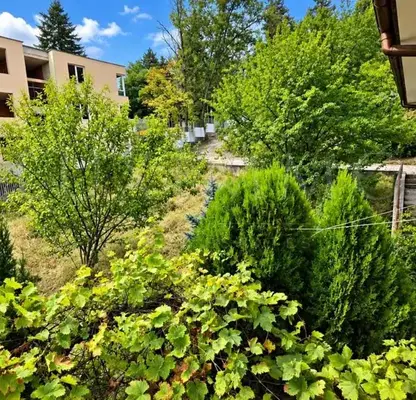 Photo 4 — Plot in Sofia, Boyana