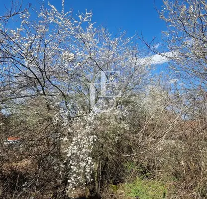 Photo 2 — Plot in Sofia, Dragalevci