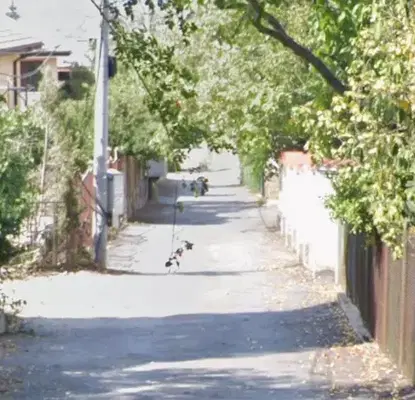 Photo 2 — Plot in Sofia, Dragalevci