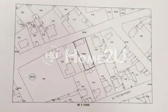 Plot in Sofia, Orlandovci