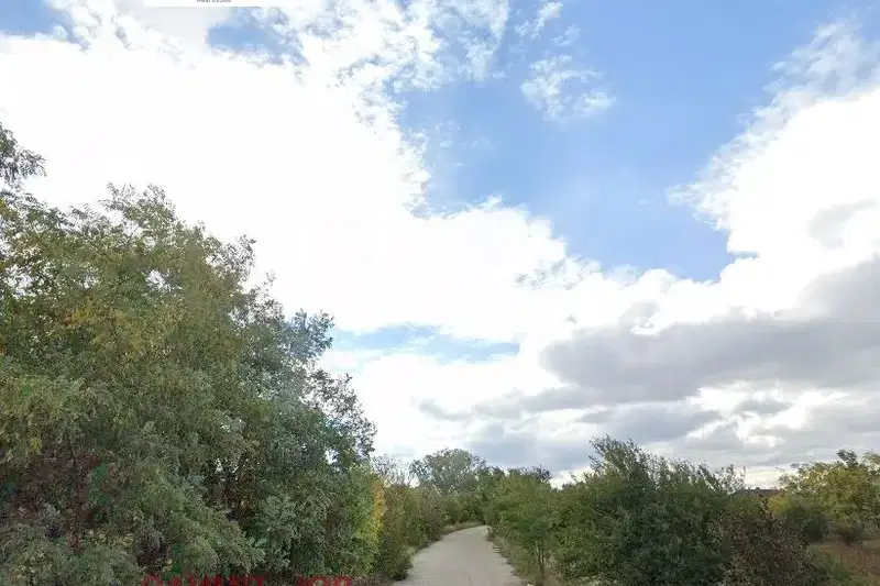 Plot in Sofia, Orlandovci