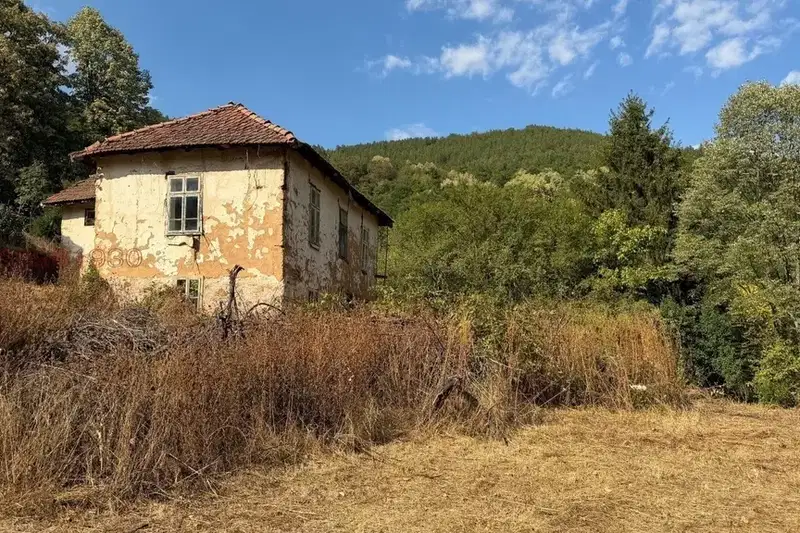 Plot in Sofia, Svoge