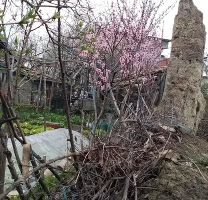 Photo 3 — Plot in Tyrgovishte, Centyr