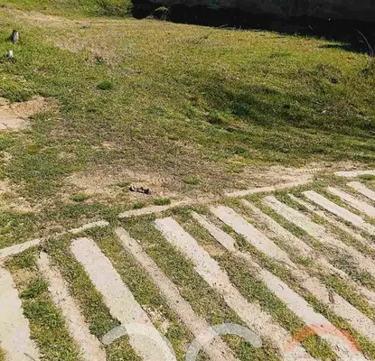 Photo 2 — Plot in Varna, Borovec - Yug