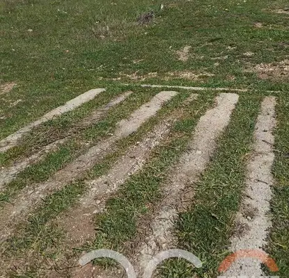 Photo 3 — Plot in Varna, Borovec - Yug