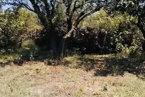 Plot in Varna, m-t Krushkite