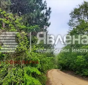 Снимка 3 — Парцел във Варна, м-т Манастирски рид