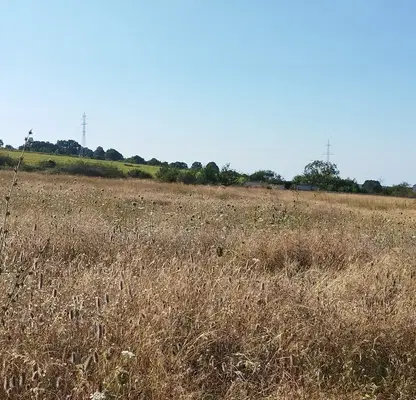 Photo 3 — Plot in Varna, Perchemliyata