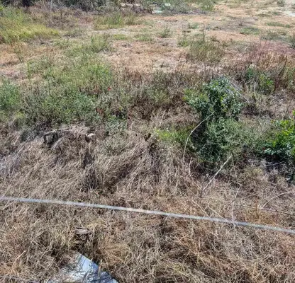 Photo 2 — Plot in Varna, Priboi