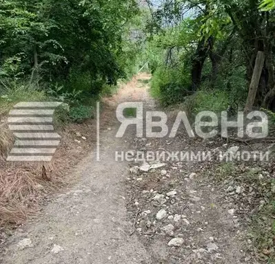 Photo 5 — Plot in Varna, Sotira