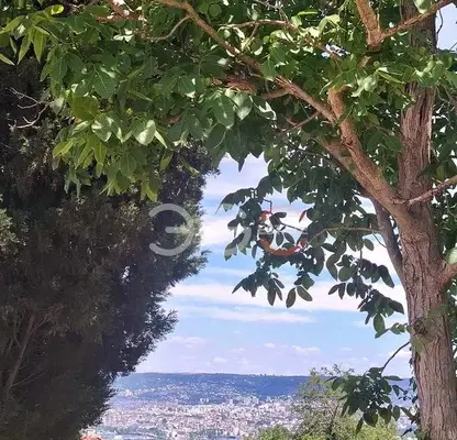 Photo 2 — Plot in Varna, Zelenika