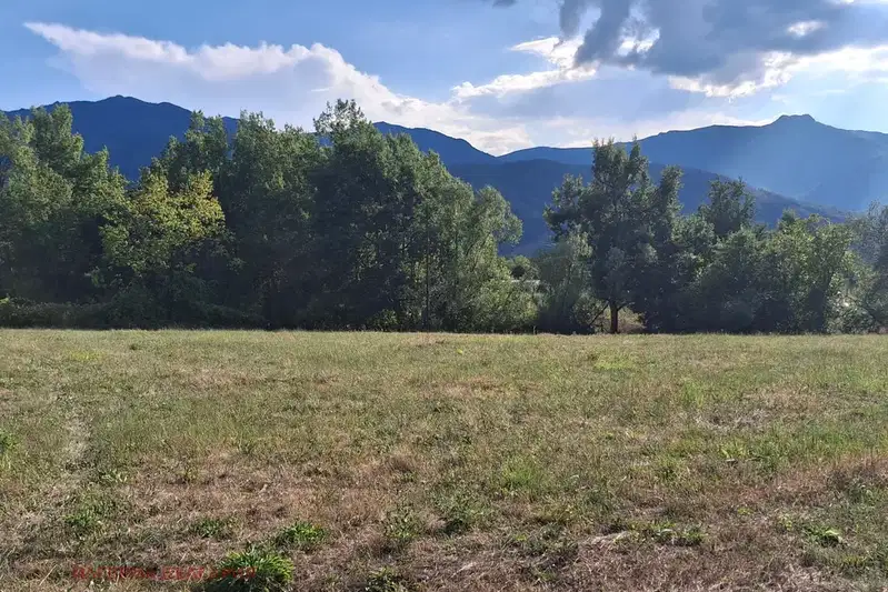 Plot in Montana, Vyrshec