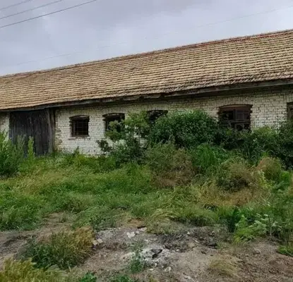 Снимка 4 — Промишлена сграда в Разград, с. Манастирци