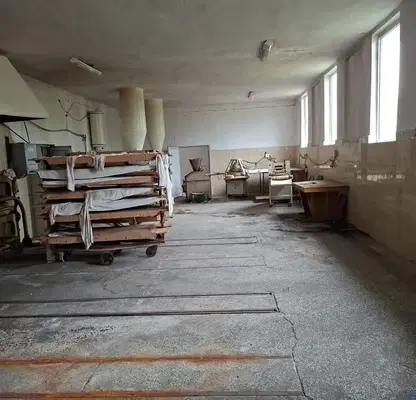 Снимка 4 — Промишлена сграда в Кърджали, с. Нановица