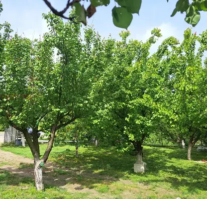 Снимка 3 — Промишлена сграда в Стара Загора, с. Тракия