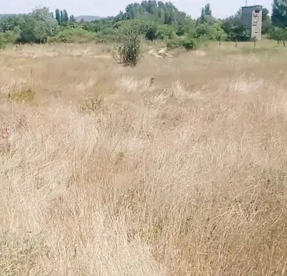 Снимка 3 — Промишлена сграда в Пазарджик, с. Виноградец