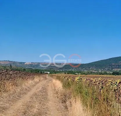 Photo 2 — Arable Land in Oblast Varna, Aksakovo