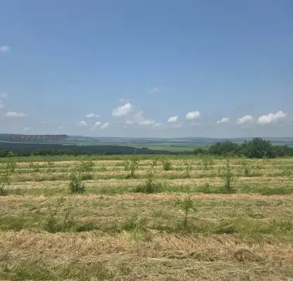 Photo 3 — Orchard in Oblast Varna, Aksakovo