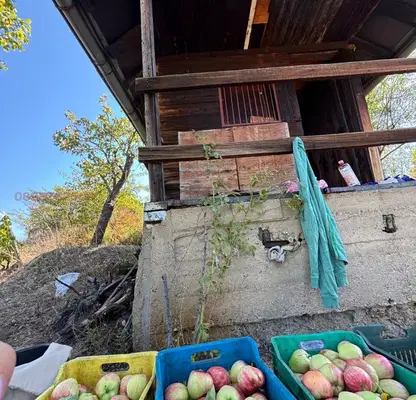 Photo 4 — Vineyard in Blagoevgrad, Blagoevgrad