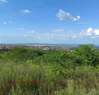 Photo 5 — Vineyard in Veliko Tyrnovo, Gorna Oryahovica