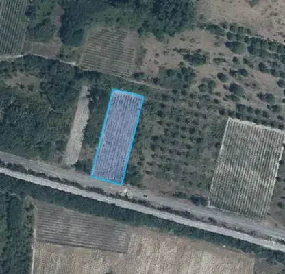Photo 3 — Arable Land in Plovdiv, Karlovo